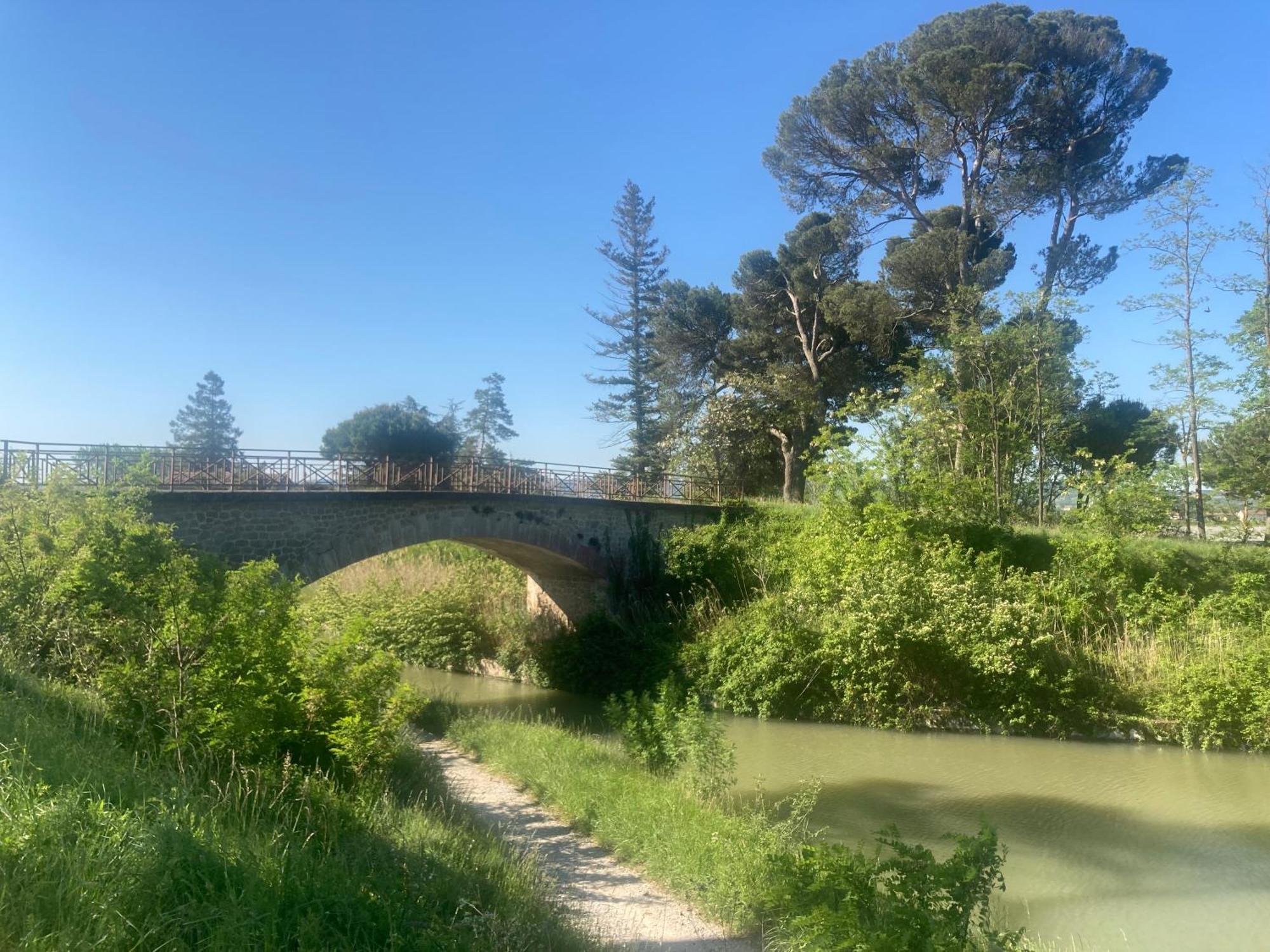 Maison Delmas, L'Oustal Du Recantu Sainte-Eulalie  Bagian luar foto